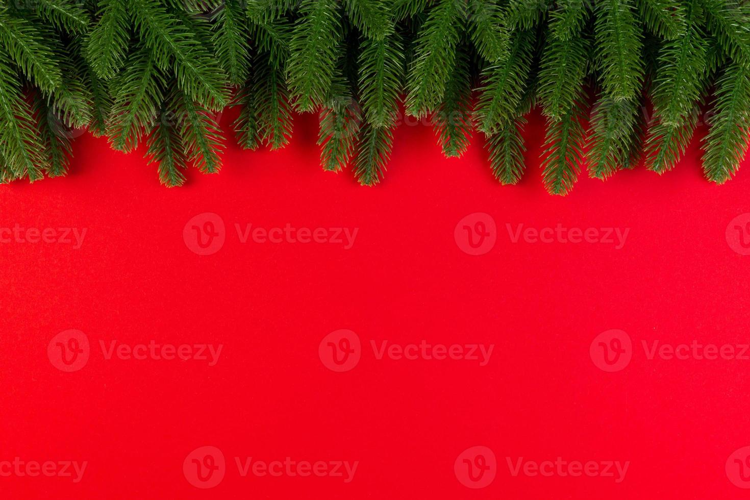 Top view of green fir tree branches on colorful background. New year holiday concept with empty space for your design photo