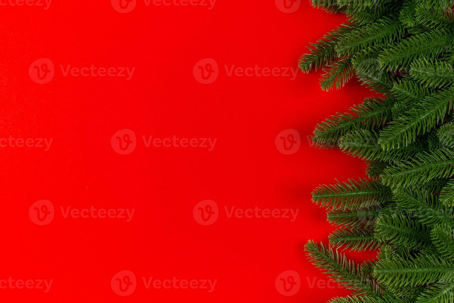 Top view of colorful background made of green fir tree branches. New year holiday concept with copy space photo