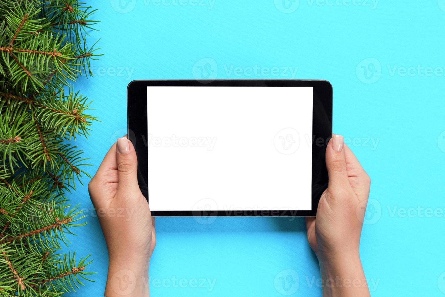 female hands with tablet computer on pink christmas background. Xmas tree branch top view photo