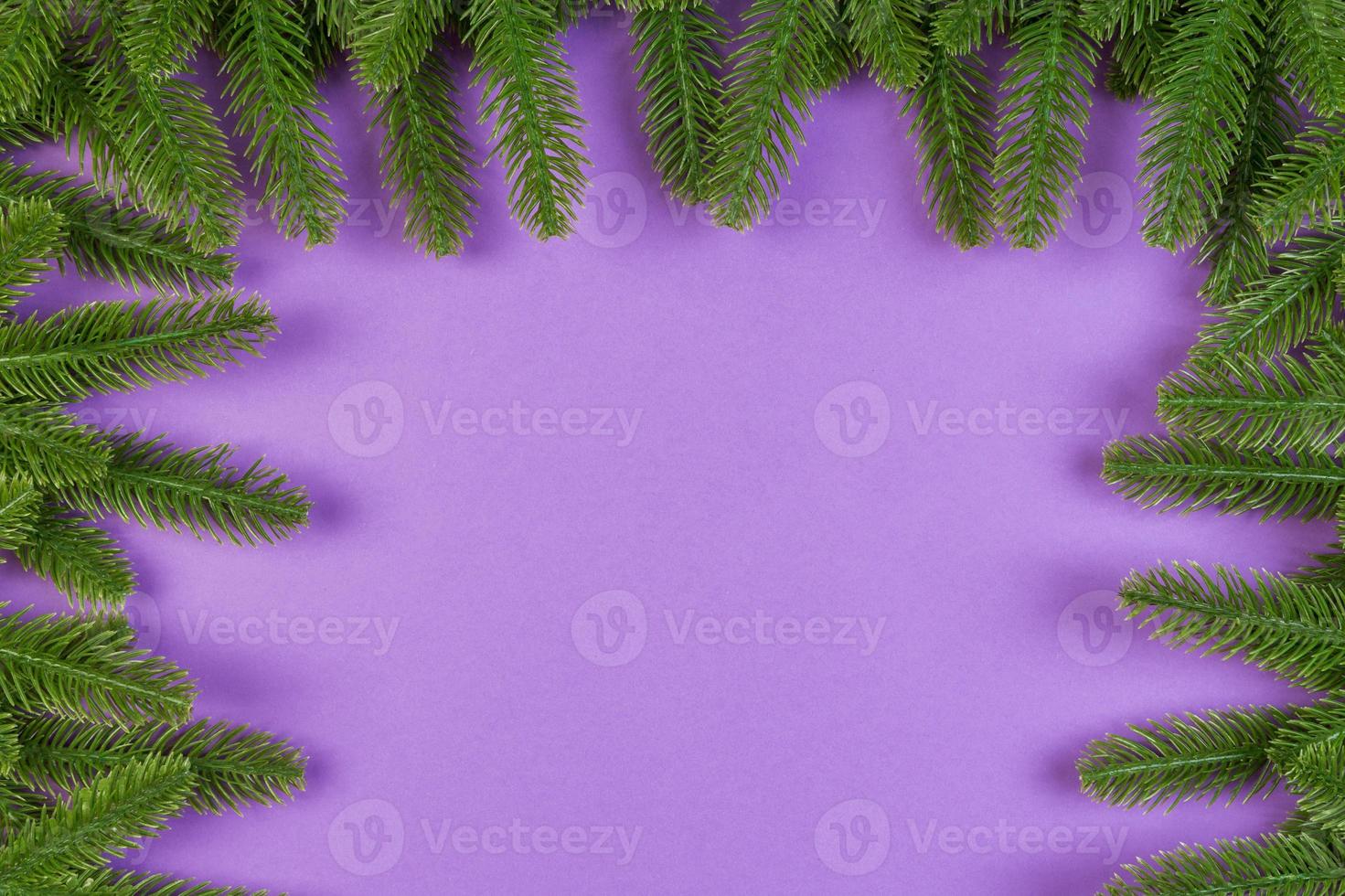 Top view of colorful background made of green fir tree branches. New year holiday concept with copy space photo