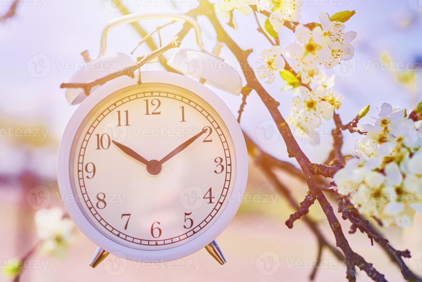 Hand hold vintage alarm clock against blue sky and blooming plant photo