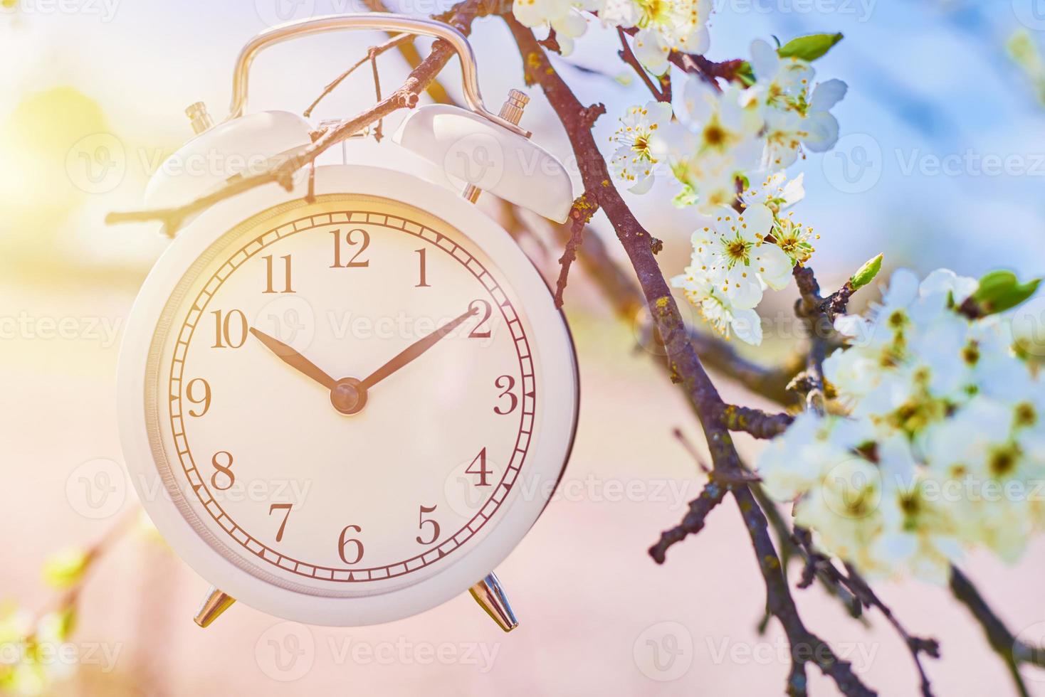 Hand hold vintage alarm clock against blue sky and blooming plant photo