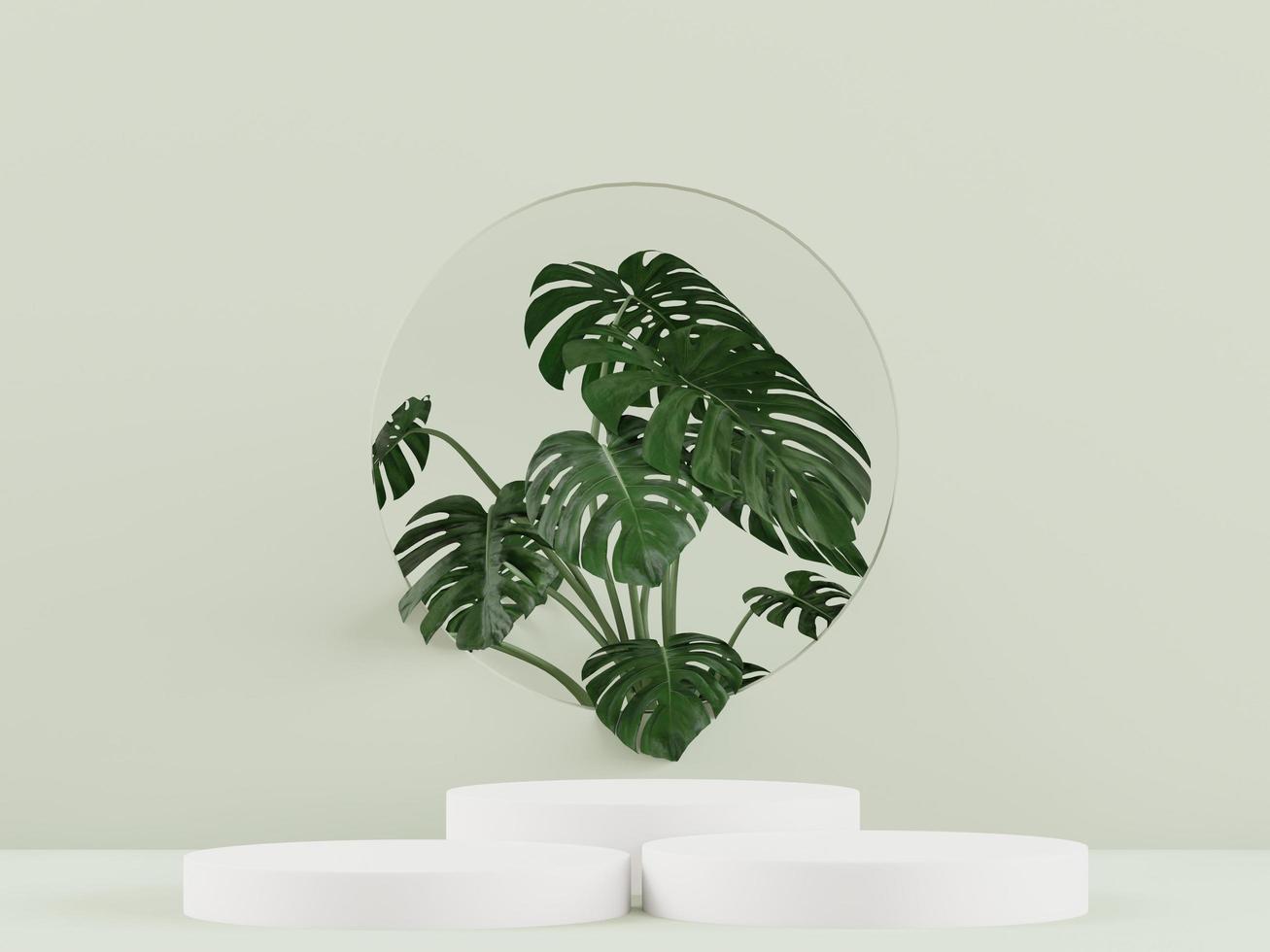 Cosmetic green podium background for product presentation, for fashion magazine. Monstera tree  - 3d rendering - photo