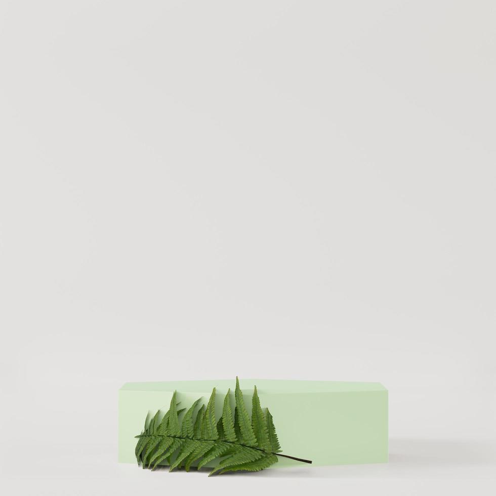 Cosmetic hexagon podium background for product presentation, for magazine. Fern leaf - 3d rendering - photo