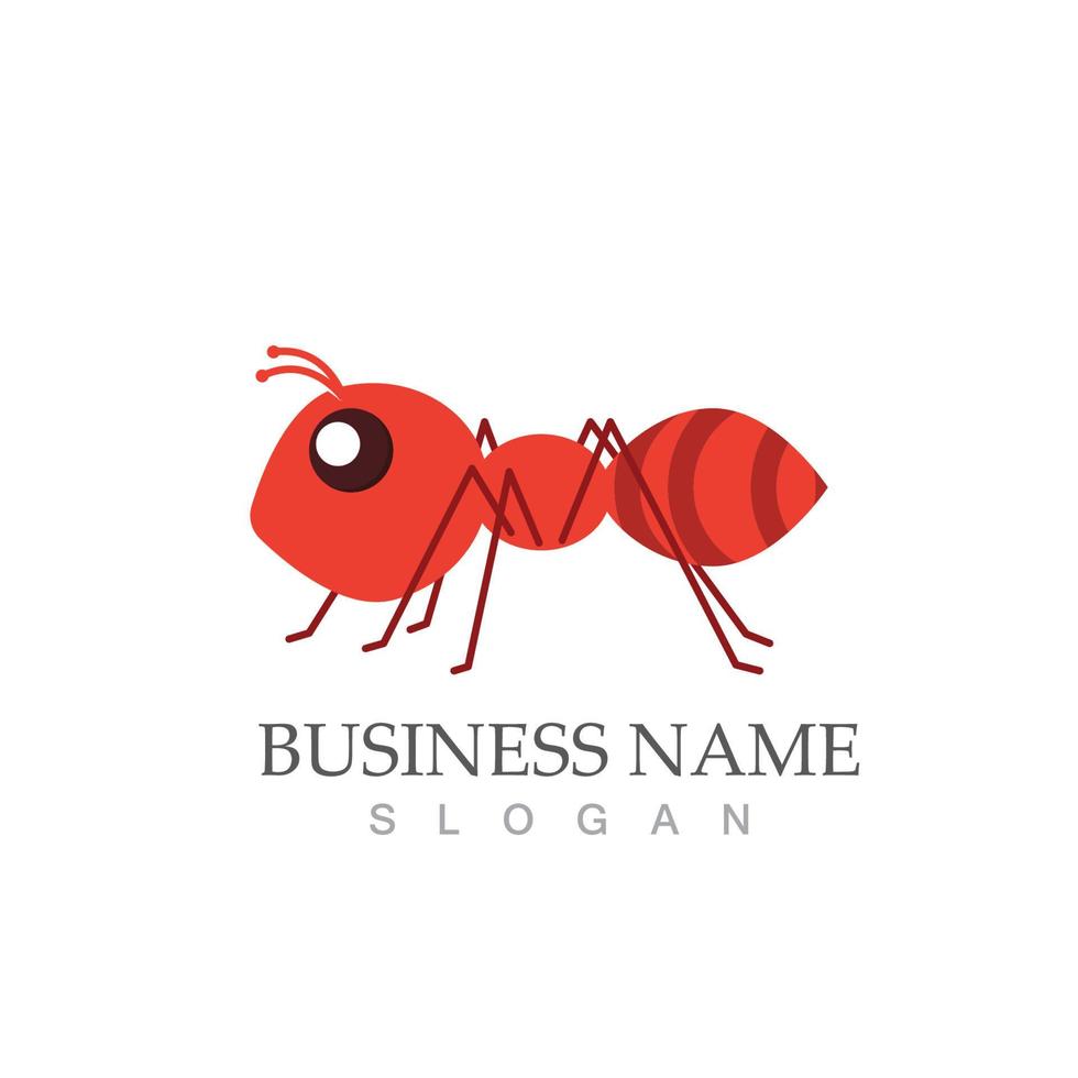 Ant logo  symbol icon vector illustration design