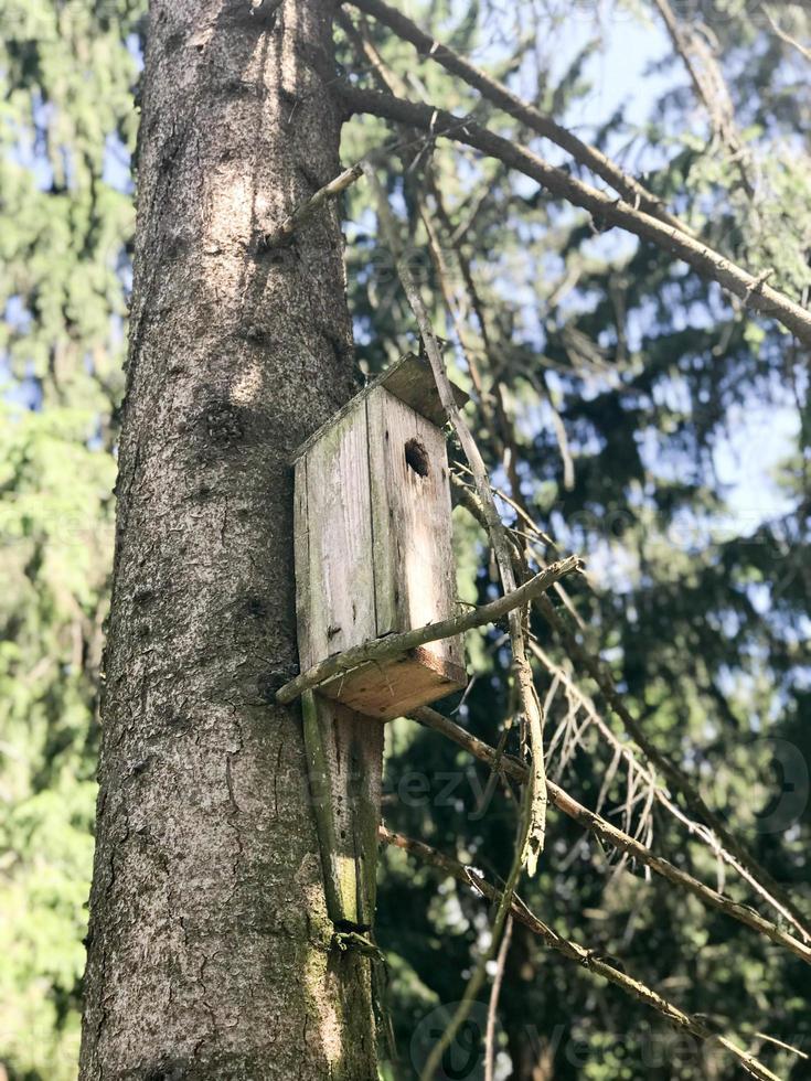 una pequeña casa para pájaros de madera, una casa para pájaros de tablones hechos a sí mismos colgados en lo alto de un pino en el bosque foto