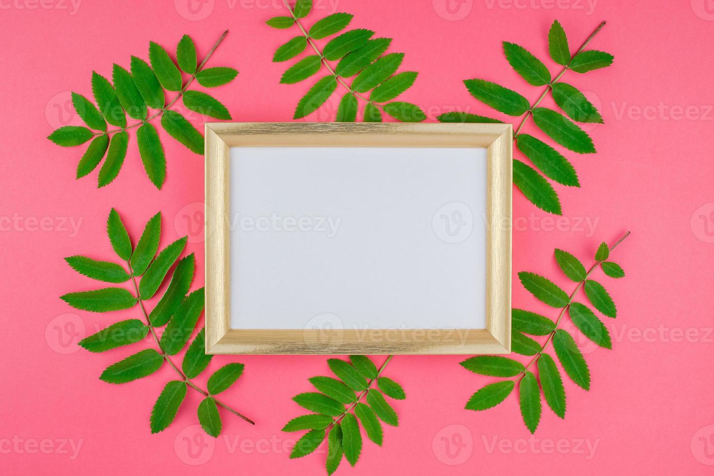 Frame mock up with fresh green leaves photo