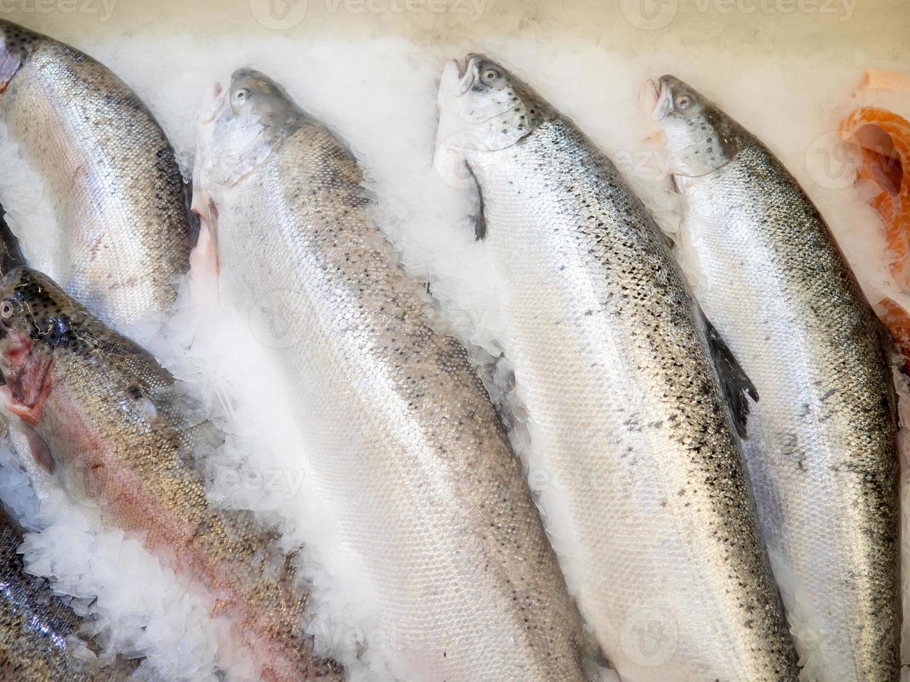 Fish shop. Sale of cooled trout on the counter. Fish in ice.  Meat products photo