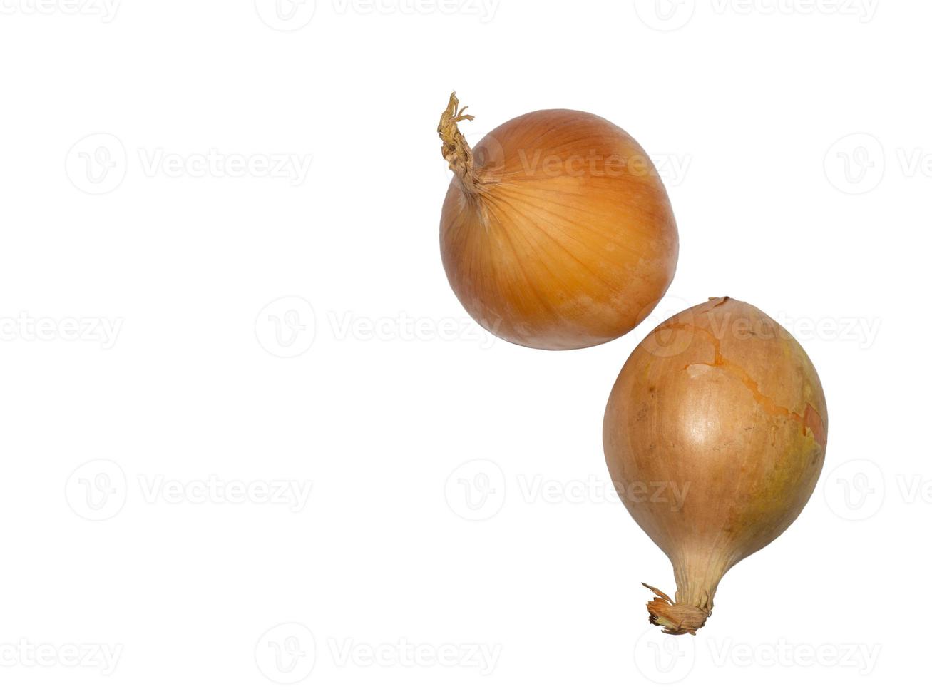 Onion on a white background. Root isolate. Fresh vegetables. photo