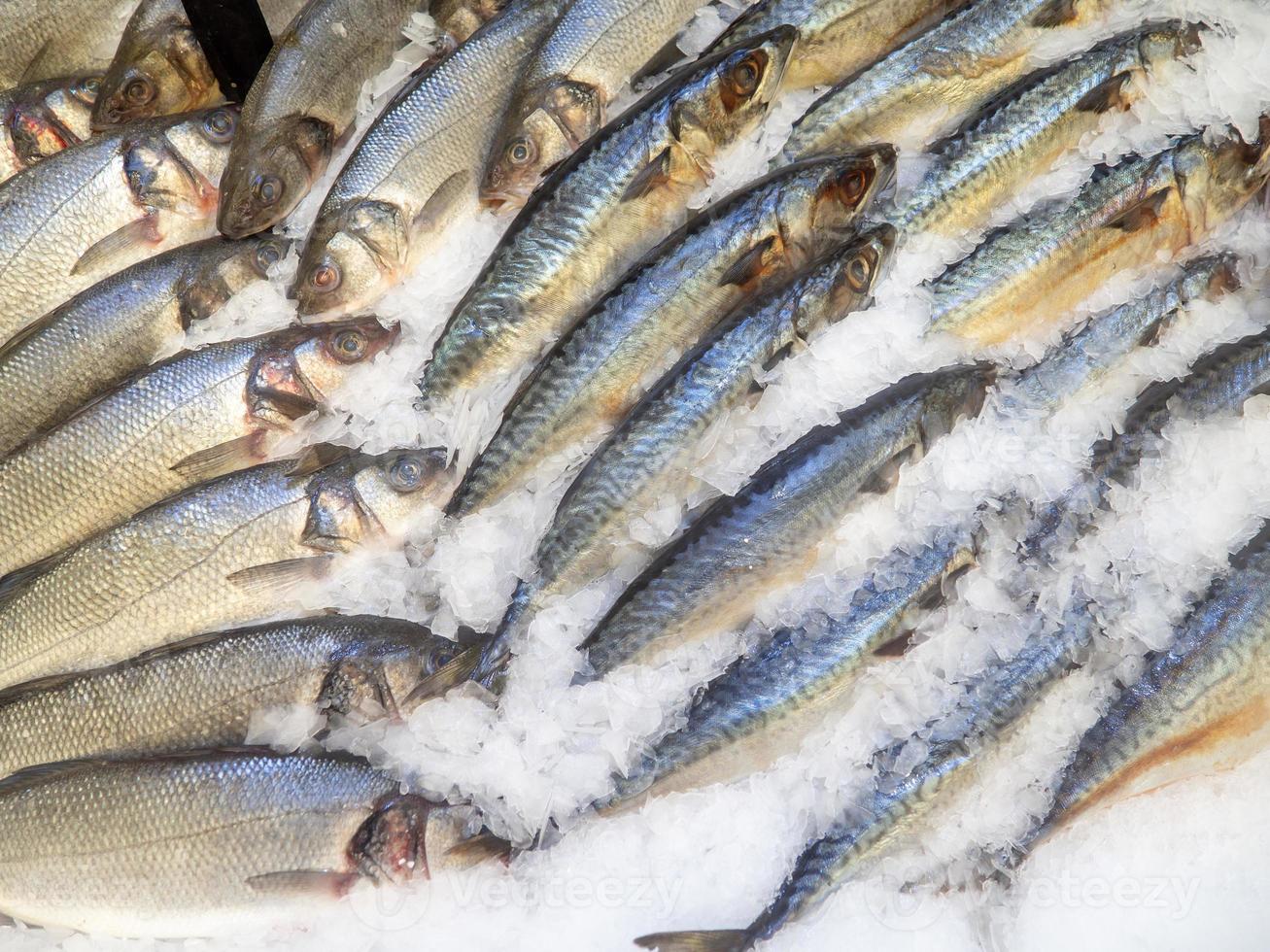 Fish shop. Sale of mackerel. Sea fish. Chilled mackerel on the counter. Fish in ice.  Meat products photo