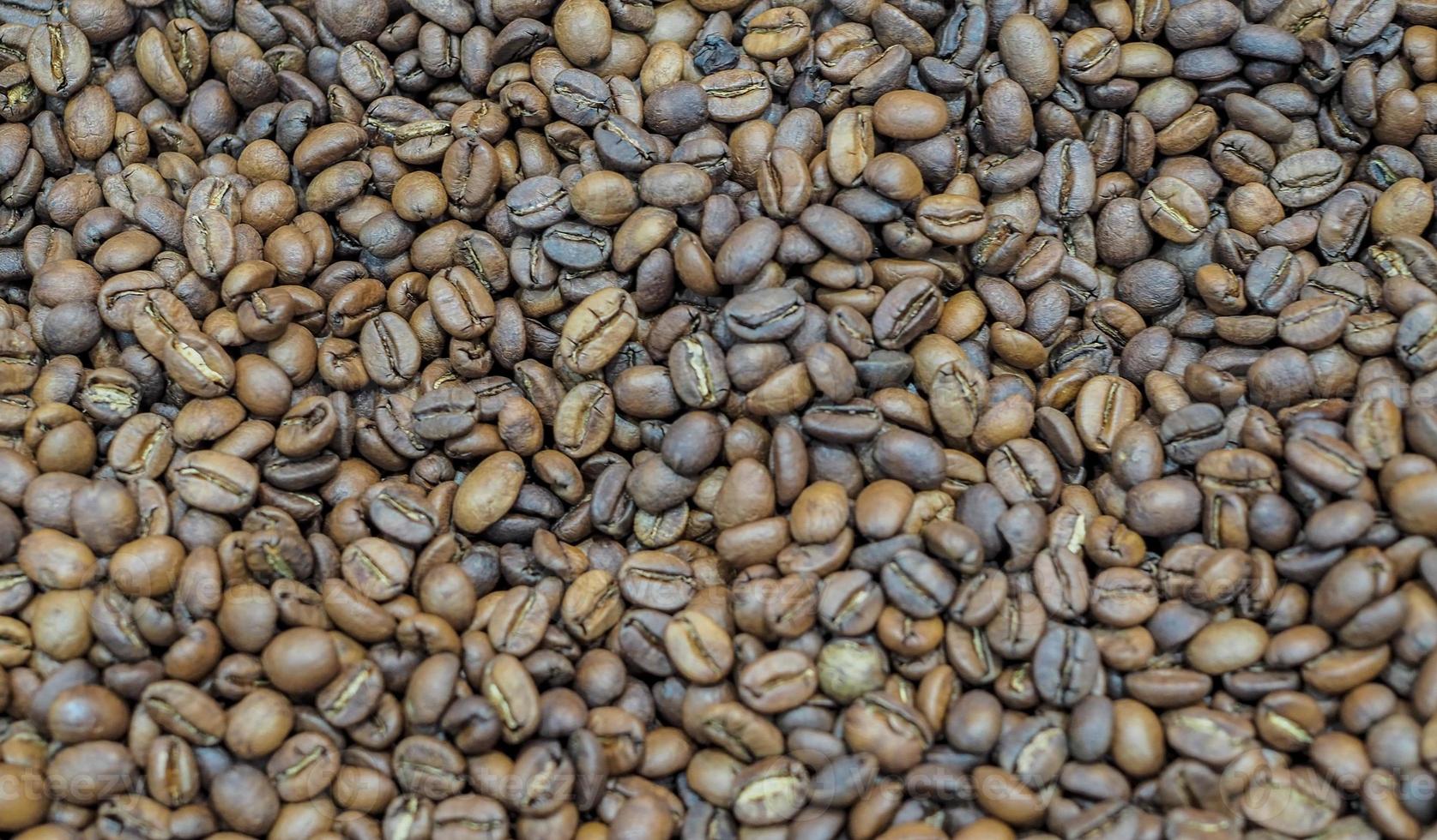 coffee bean background with nature light photo