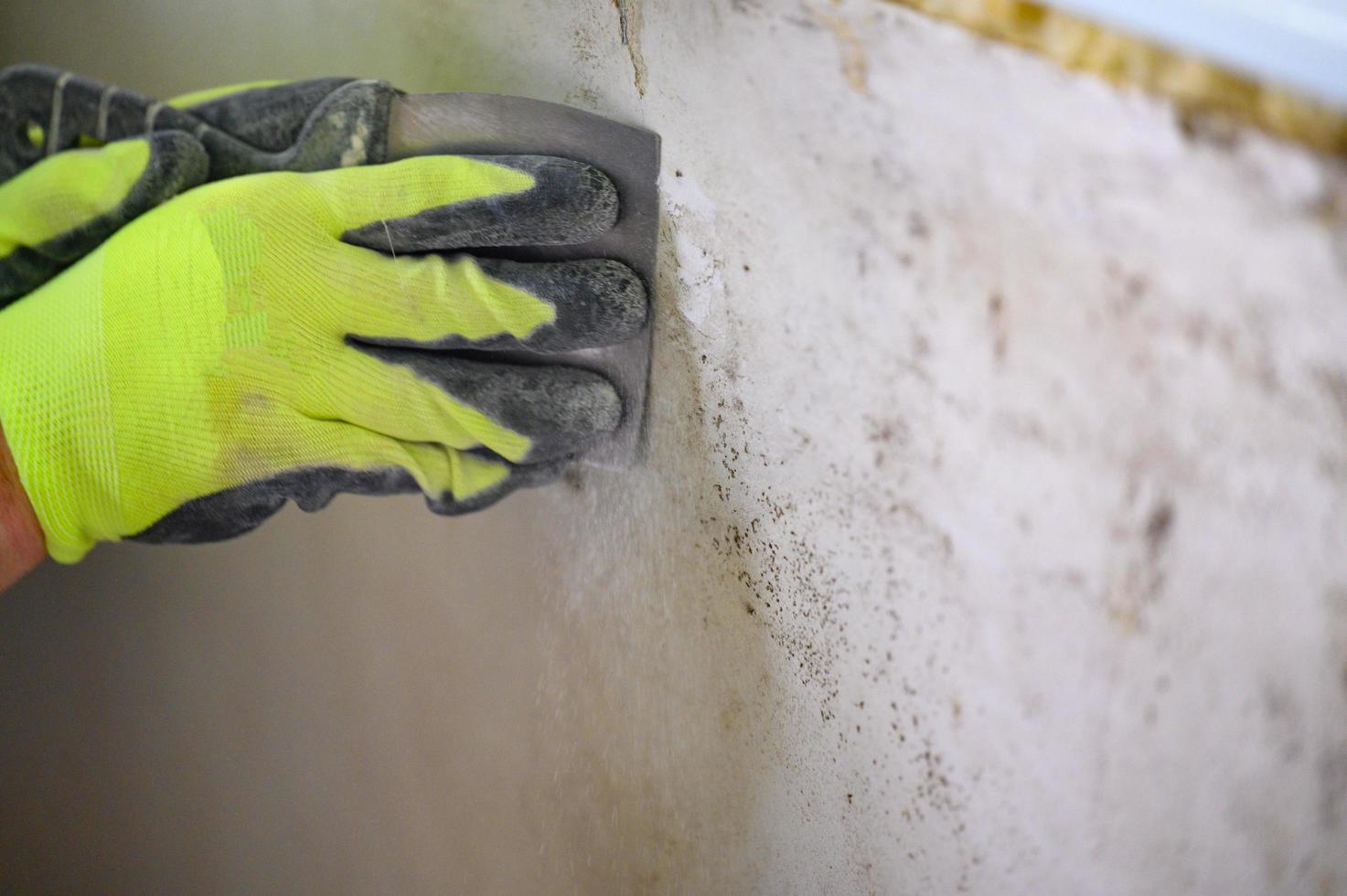 The man uses a spatula to remove mold and fungus on the wall. photo