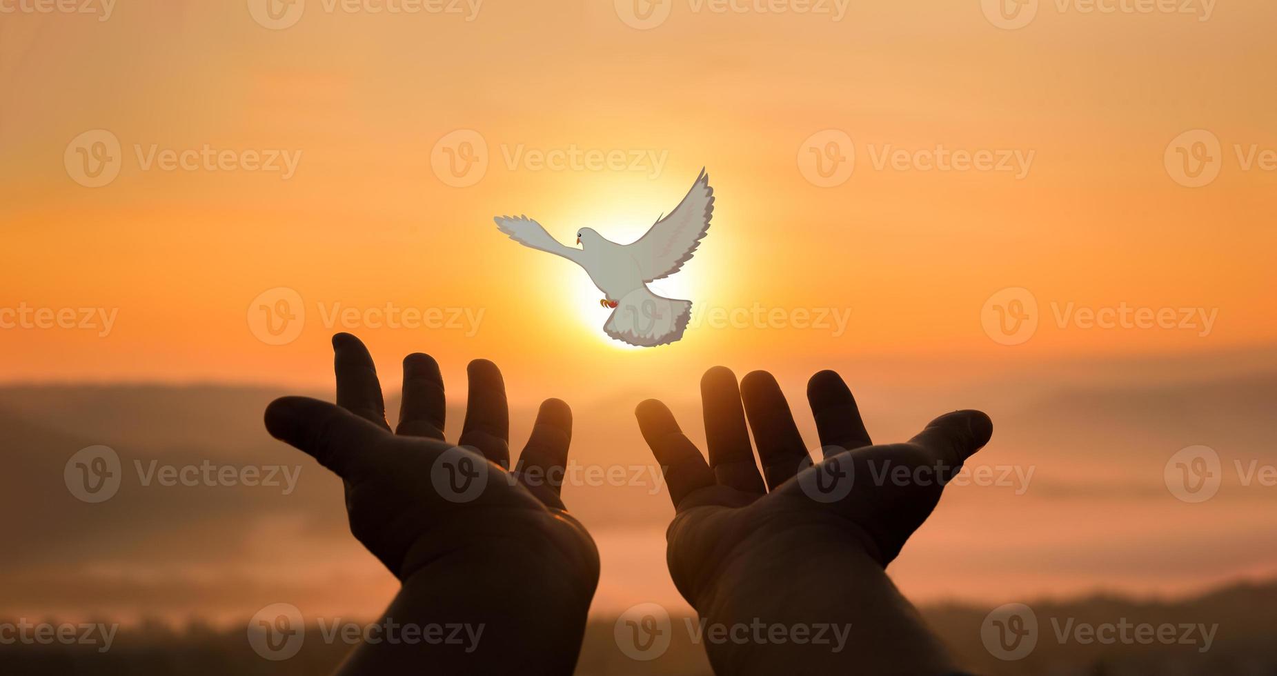 Concept of worship in Christianity. Doves fly into man hands. Christians have faith in Holy Spirit. Male silhouette worship to god with love Faith,Spirit and jesus christ. Christian praying for peace photo