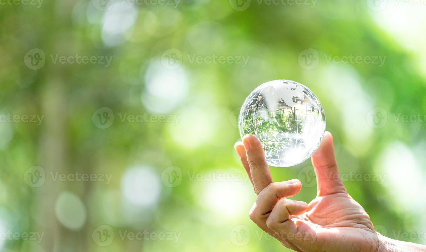 bola de cristal utilizada como objeto revelador. parque natural con árboles al fondo. mano para el medio ambiente, social y gobernanza en negocios sostenibles y éticos sobre fondo verde. foto