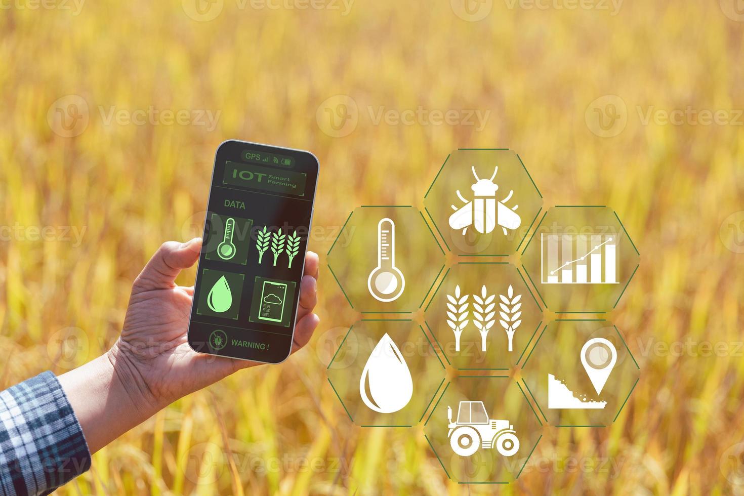 agricultura inteligente con internet de las cosas, concepto iot. la agricultura y la tecnología moderna se utilizan para gestionar los cultivos. análisis de información como el clima, las condiciones del suelo y el medio ambiente. campo de cultivo de arroz foto