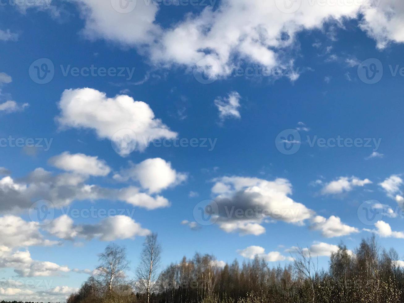 Texture of the blue sky with white fluffy airy fluffy light clean rain soft clouds against the background of a green forest. The background photo