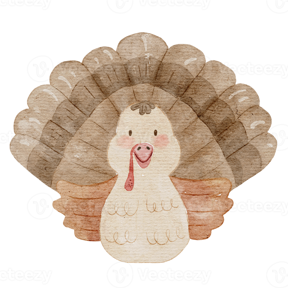 Turkey Watercolor Illustration png