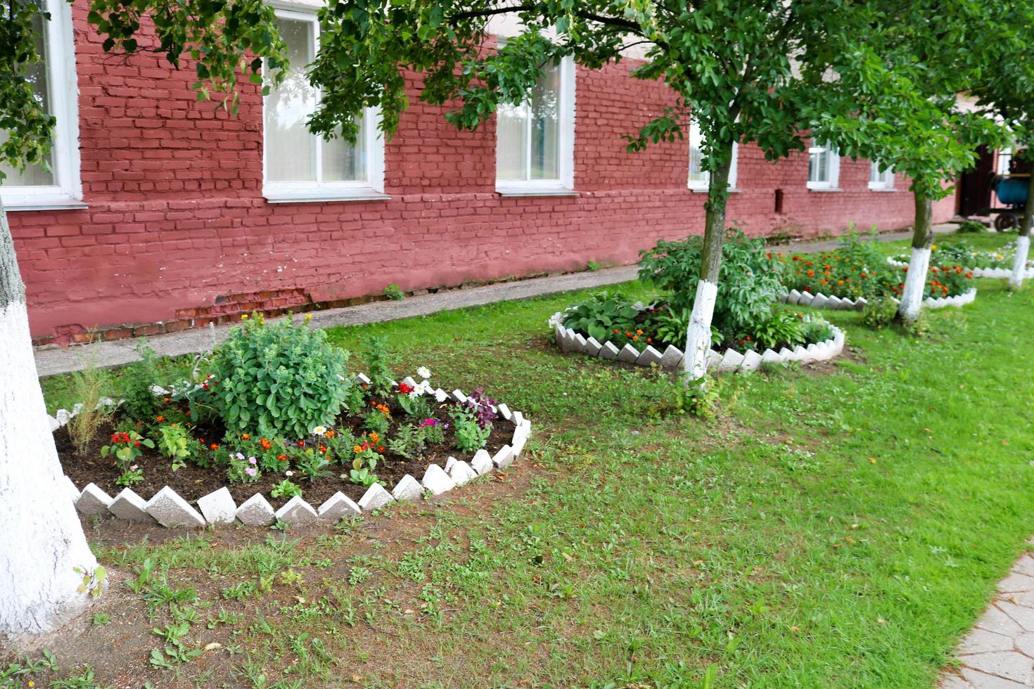 macizo de flores casero con hermoso cet y plantas, verdes y hierba verde foto