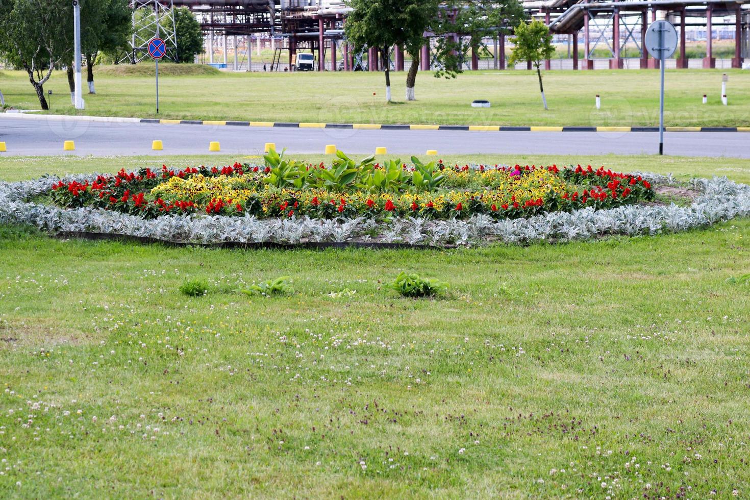 Beautiful flower bed with flowers on the grass near the road, landscape design. photo