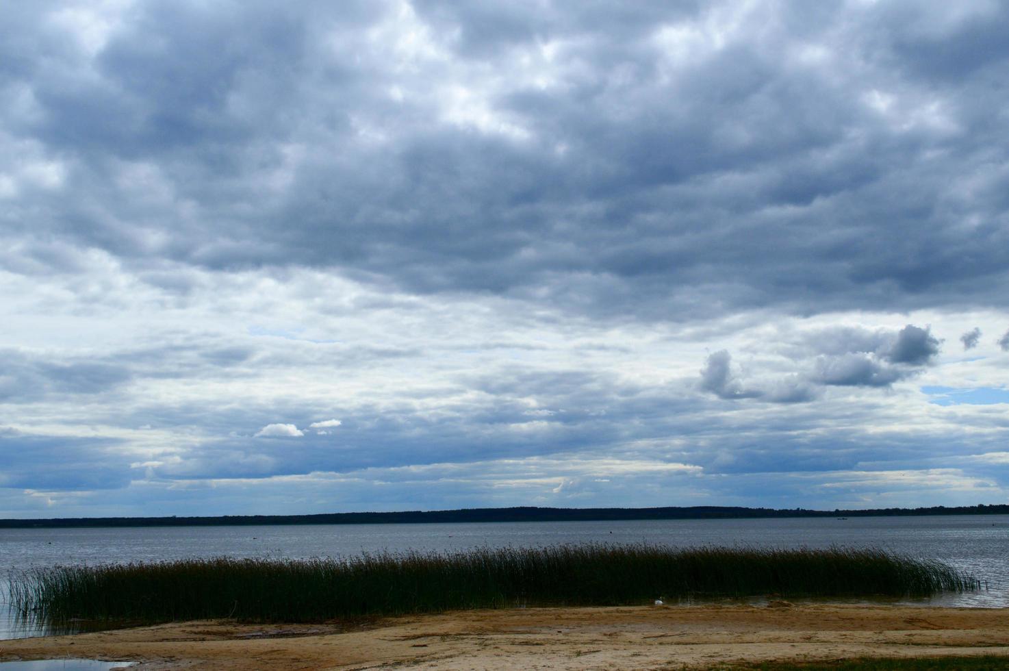 Landscape view of the lake with water and plants on the shore, reeds and gloomy blue clouds in the sky photo