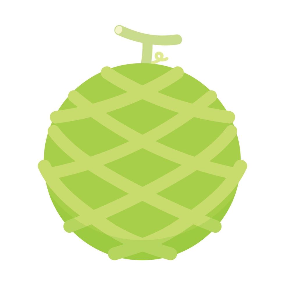 Melon vector. melon on white background. wallpaper. logo design. vector