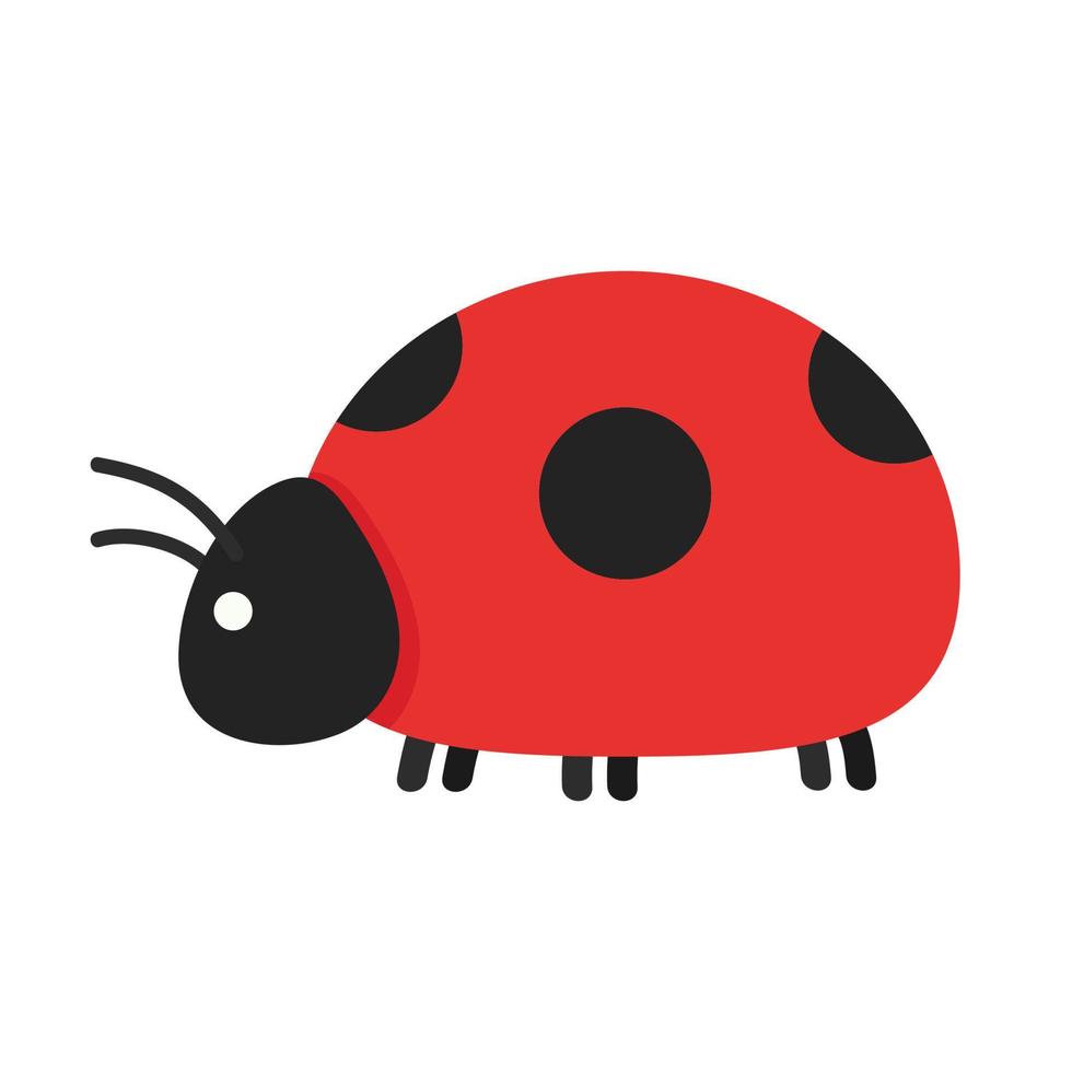 Ladybug vector. Ladybug on white background. wallpaper. symbol. vector