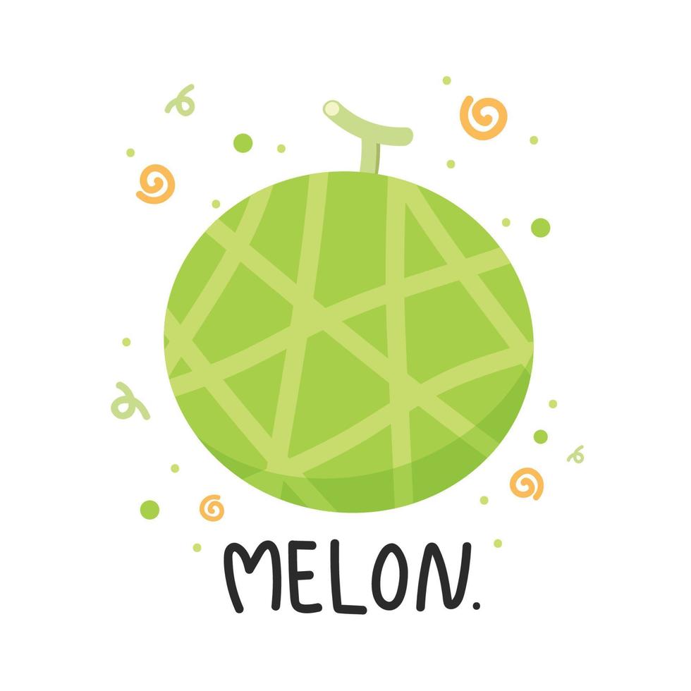 vector de melón melón sobre fondo blanco. fondo de pantalla. diseño de logo.