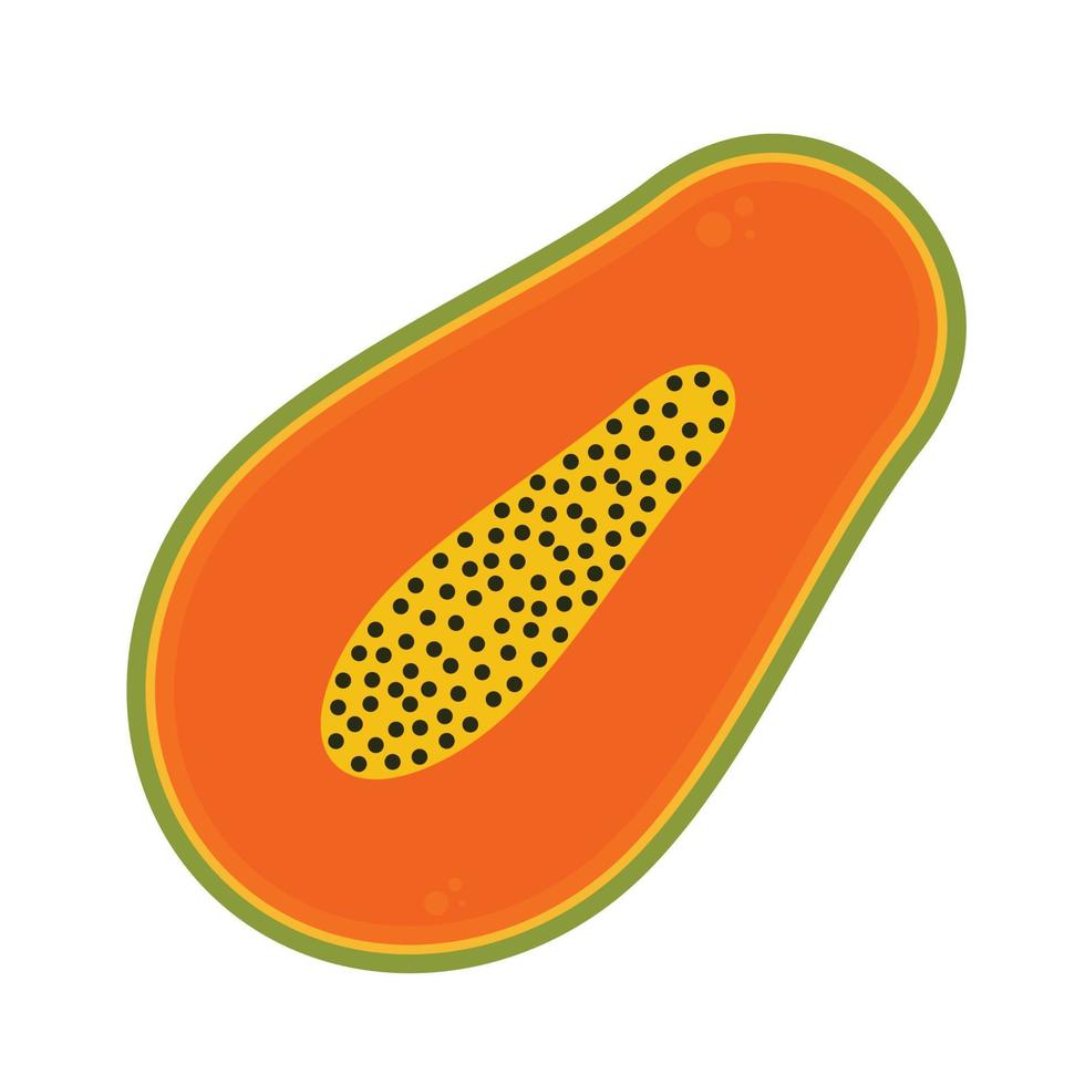 Papaya on white background. Papaya icon vector. vector