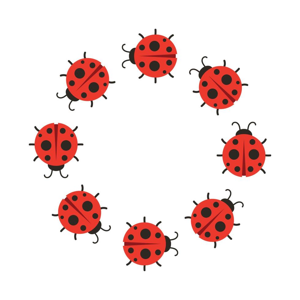 Lady bug vector. wallpaper. free space for text. copy space. blank. vector