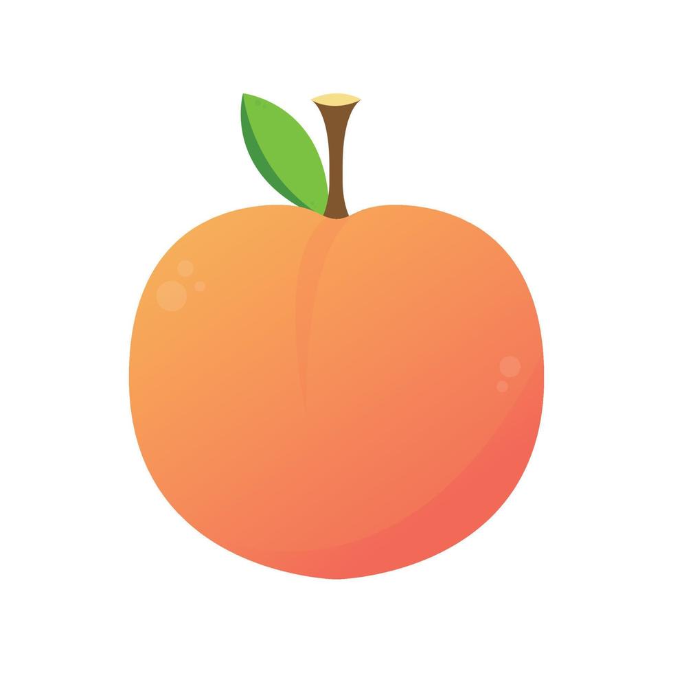 peach cartoon vector. symbol. logo design. vector