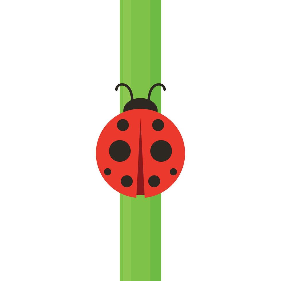 ladybug on leaf. wallpaper. free space for text. background. symbol. ladybug on white background. vector
