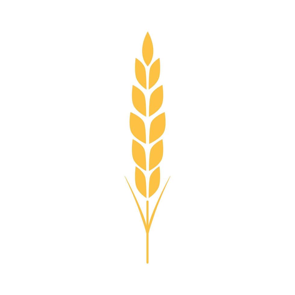 Rice symbol. Wheat symbol vector. wallpaper. logo design. vector