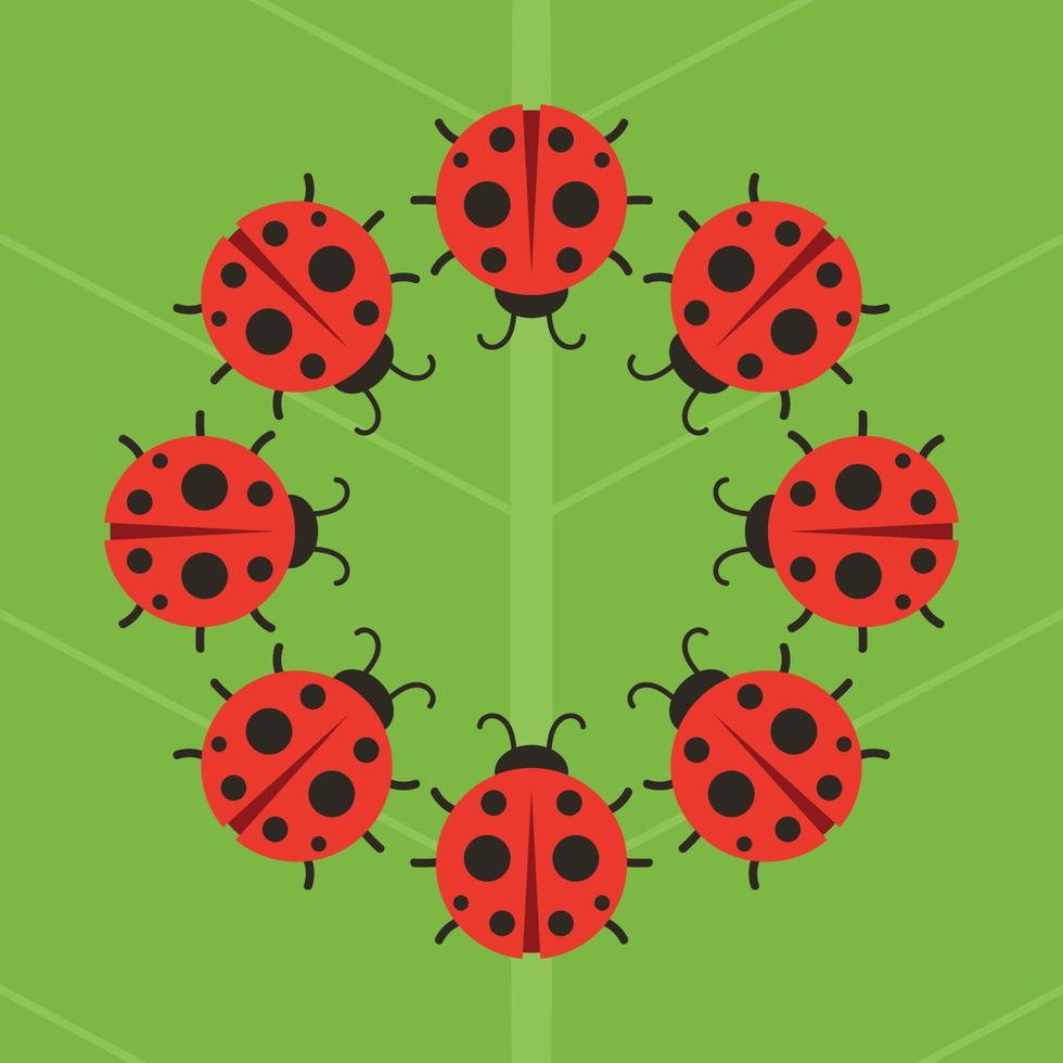Ladybug on leaf. wallpaper. free space for text. background. symbol. ladybug on white background. vector