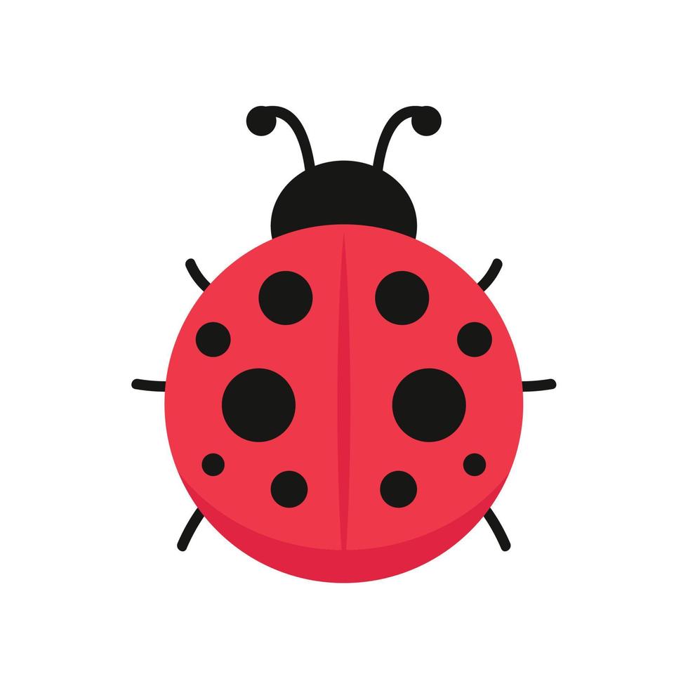Ladybug vector. ladybug on white background. wallpaper. symbol. vector