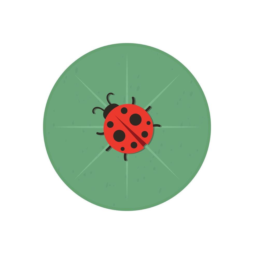 ladybug on leaf. wallpaper. free space for text. background. symbol. ladybug on white background. vector