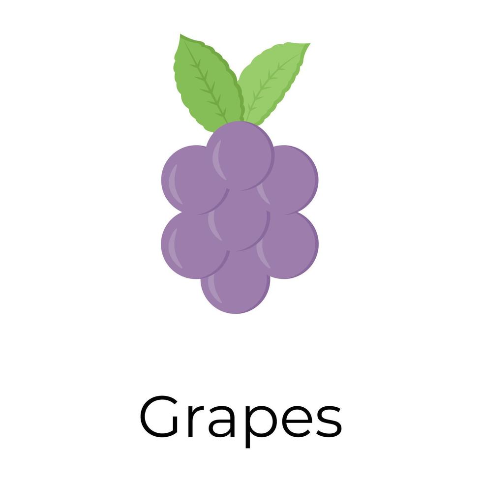 Trendy Grapes Concepts vector