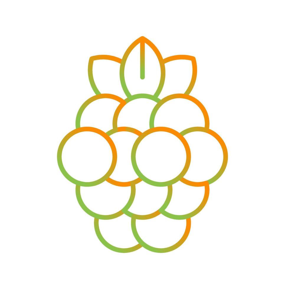 Raspberry Vector Icon