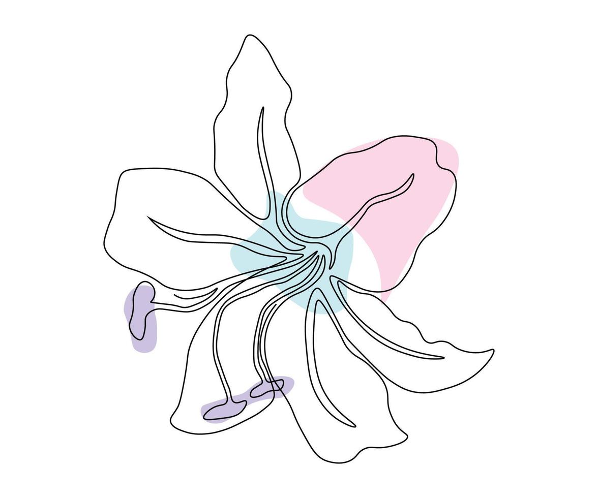 la flor de lirio está dibujada a mano en un estilo minimalista, en la técnica de una sola línea, una monolínea. símbolo de cosméticos, logotipo de salón de belleza vector