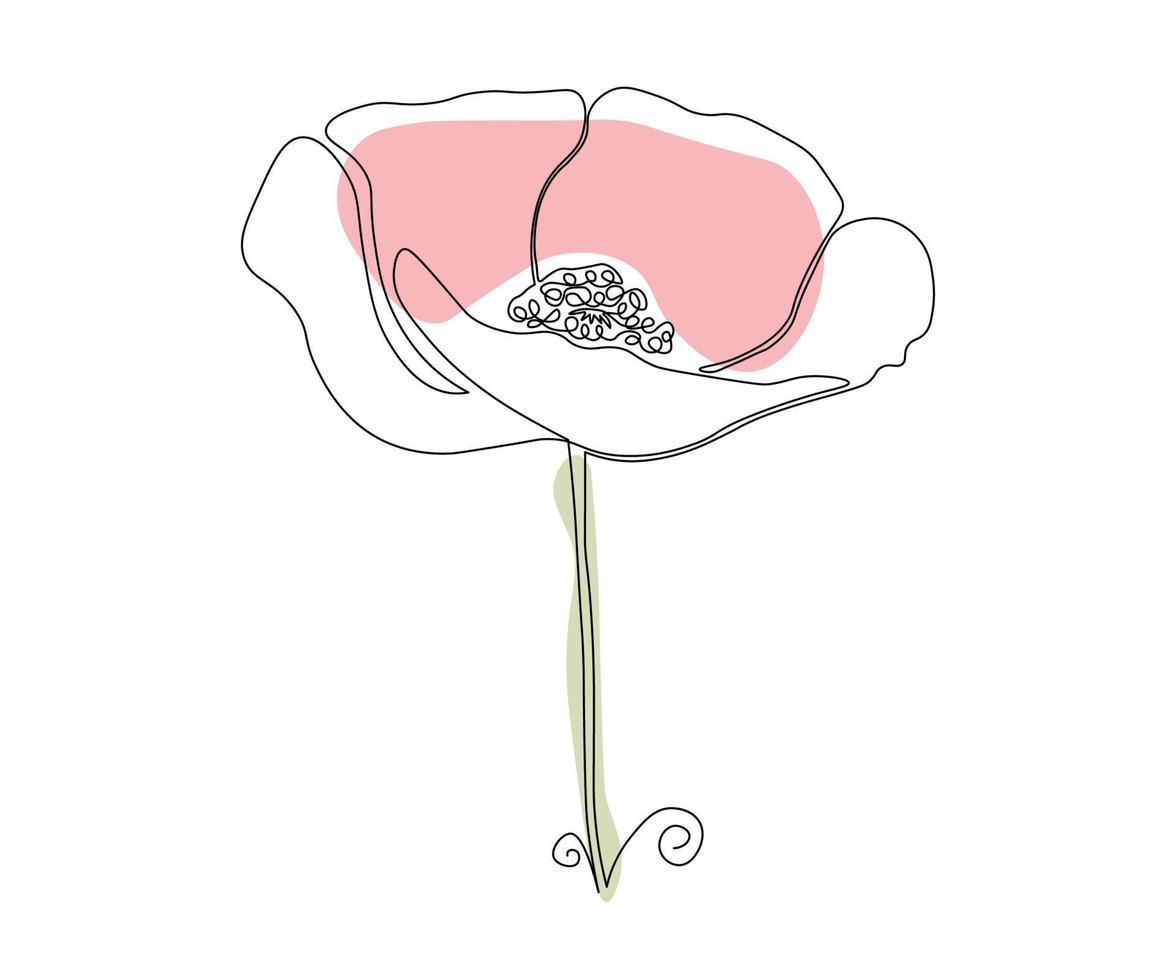 la flor de amapola está dibujada a mano en un estilo minimalista, en la técnica de una sola línea, una monolínea. símbolo de cosméticos, logotipo de salón de belleza vector