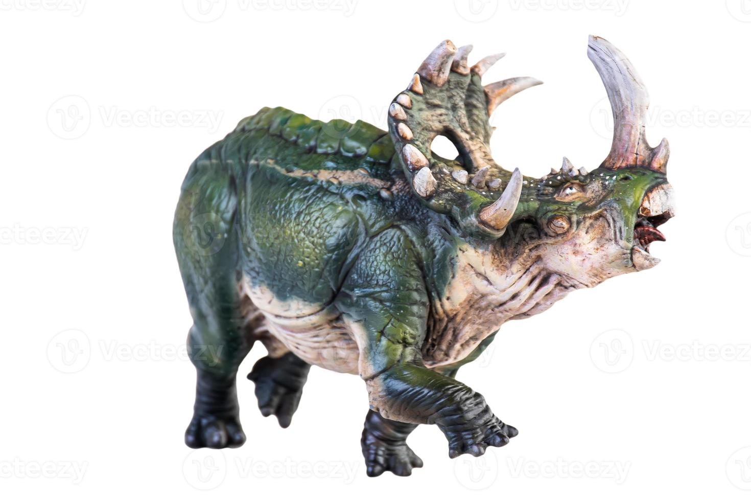dinosaur , Sinoceratops isolated background  clipping path photo