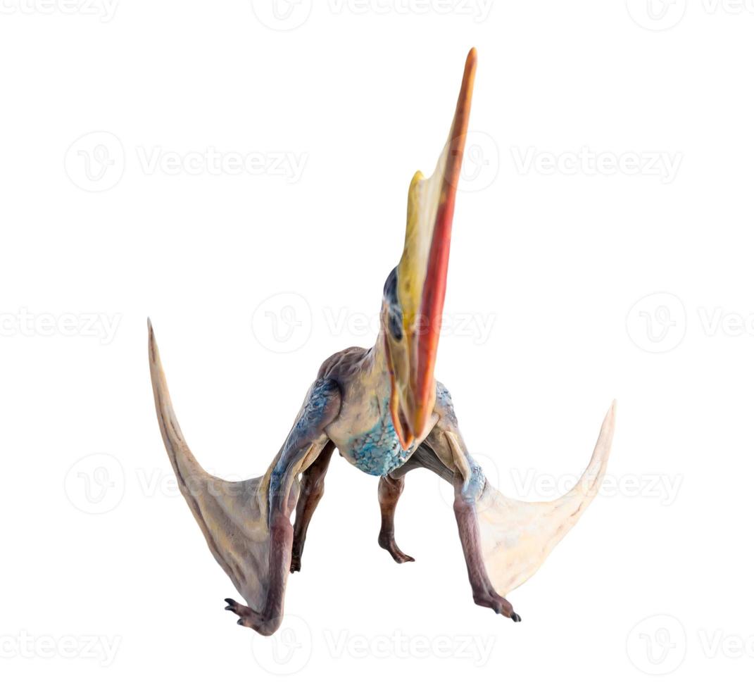 dinosaurio , tupandactylus trazado de recorte de fondo aislado foto