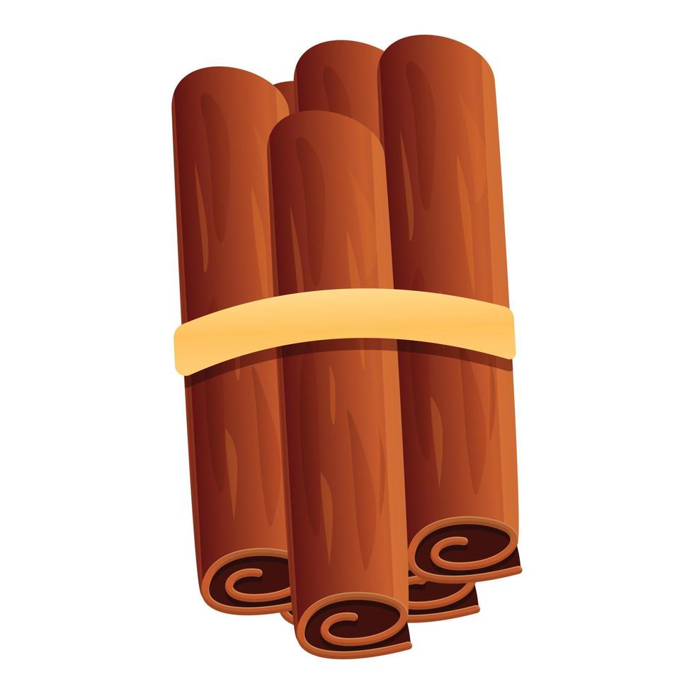 Cinnamon sticks pack icon, cartoon style vector