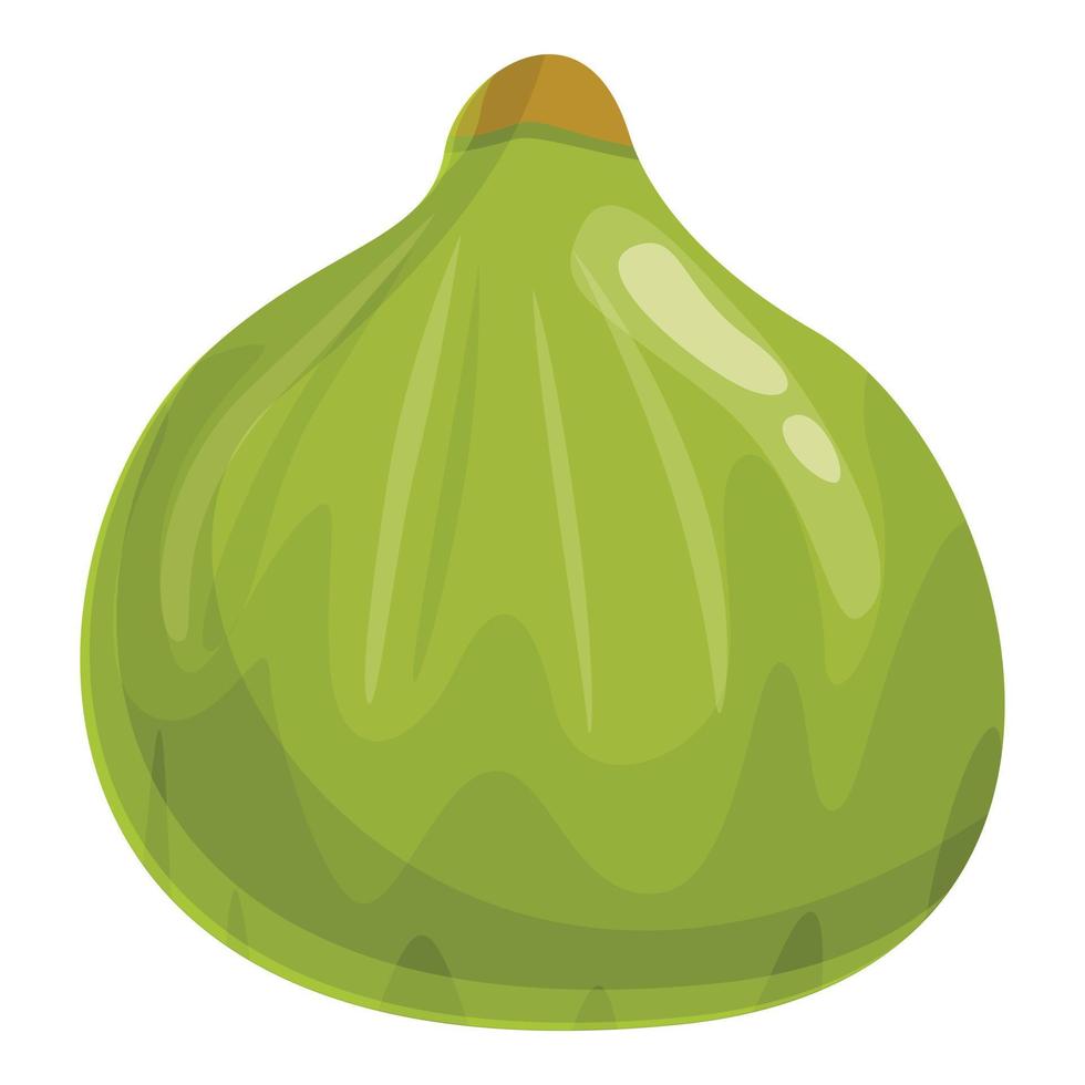 Raw fig icon, cartoon style vector