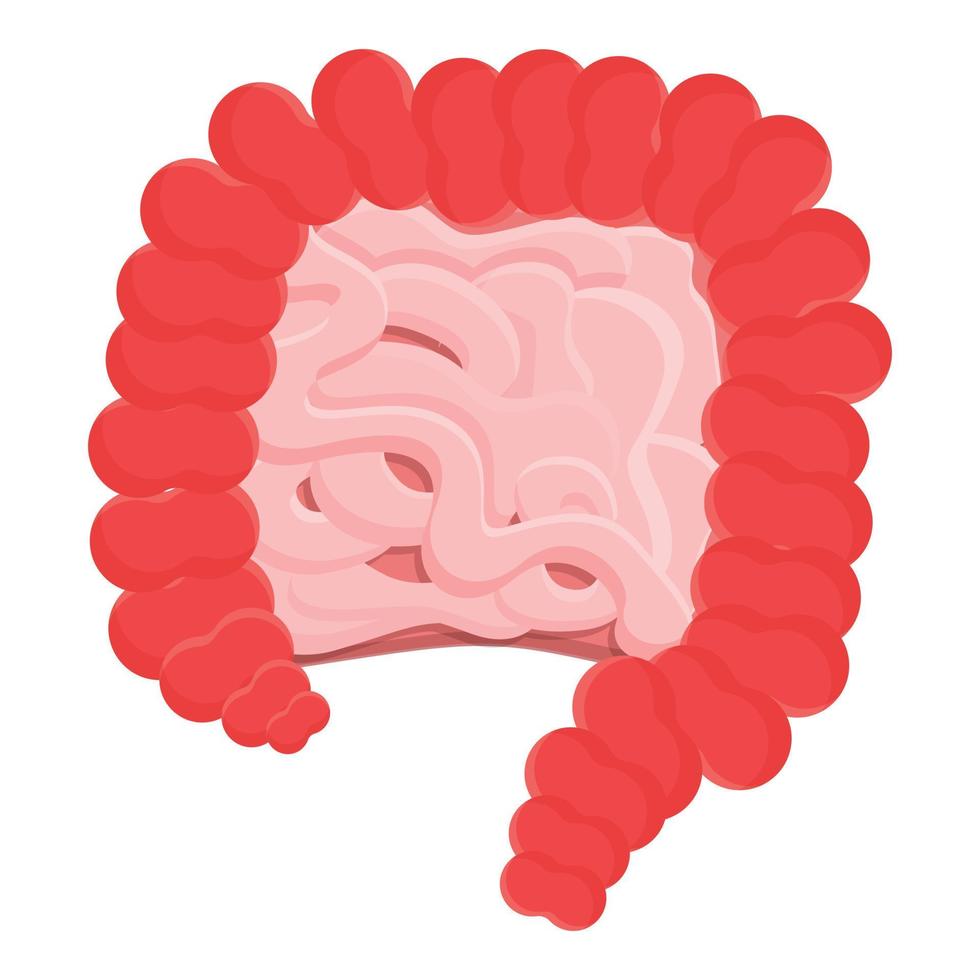 All human intestine icon, cartoon style vector