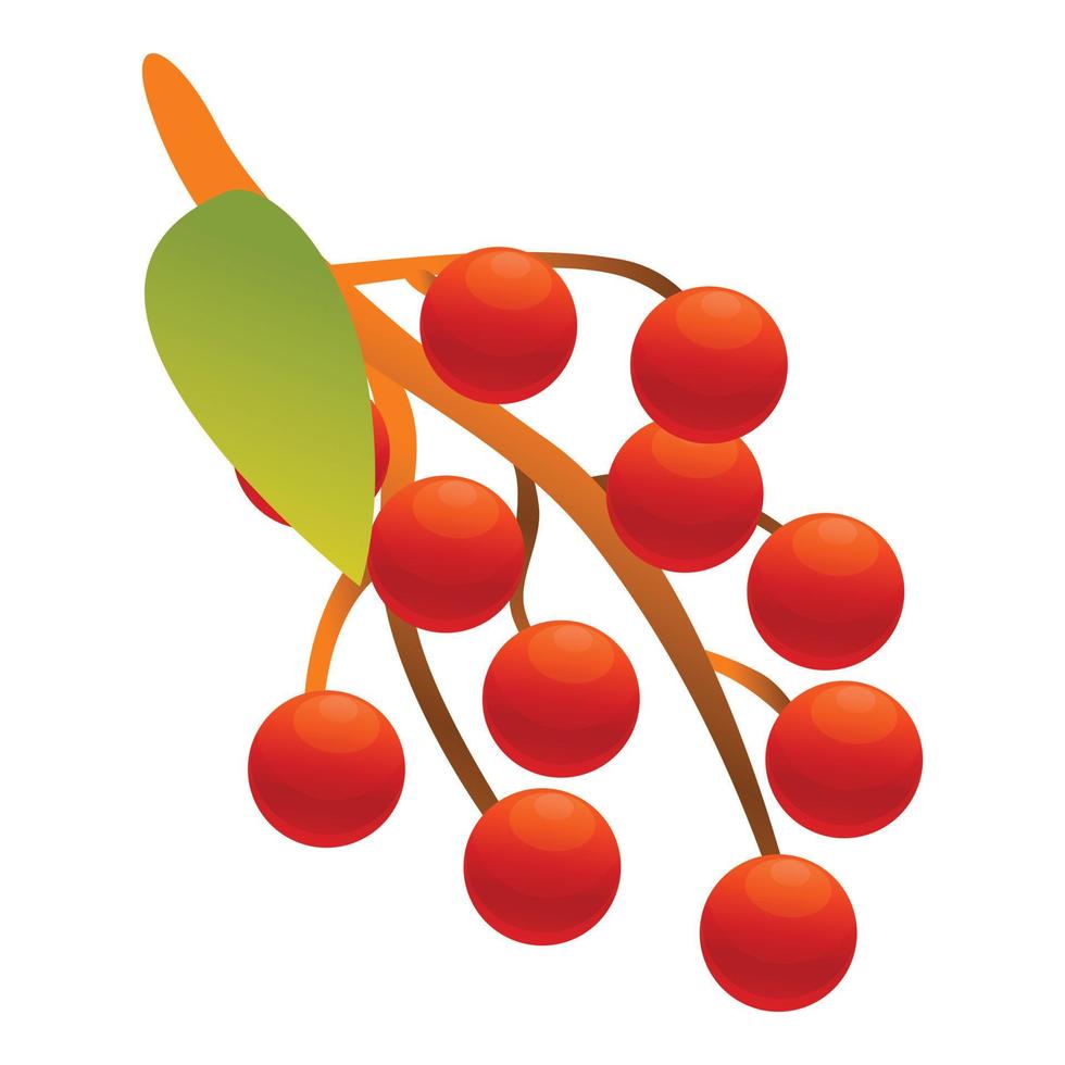 Rowan flora icon, cartoon style vector