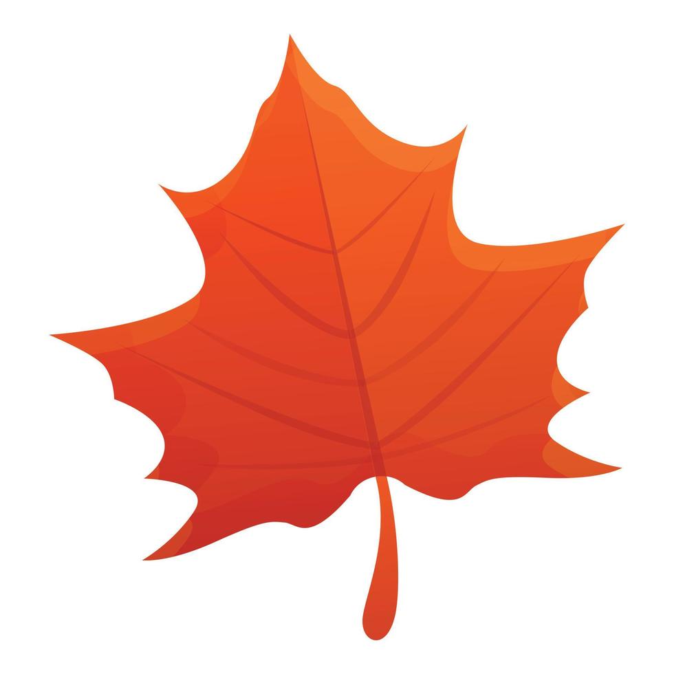 Maple red leaf icon, cartoon style vector