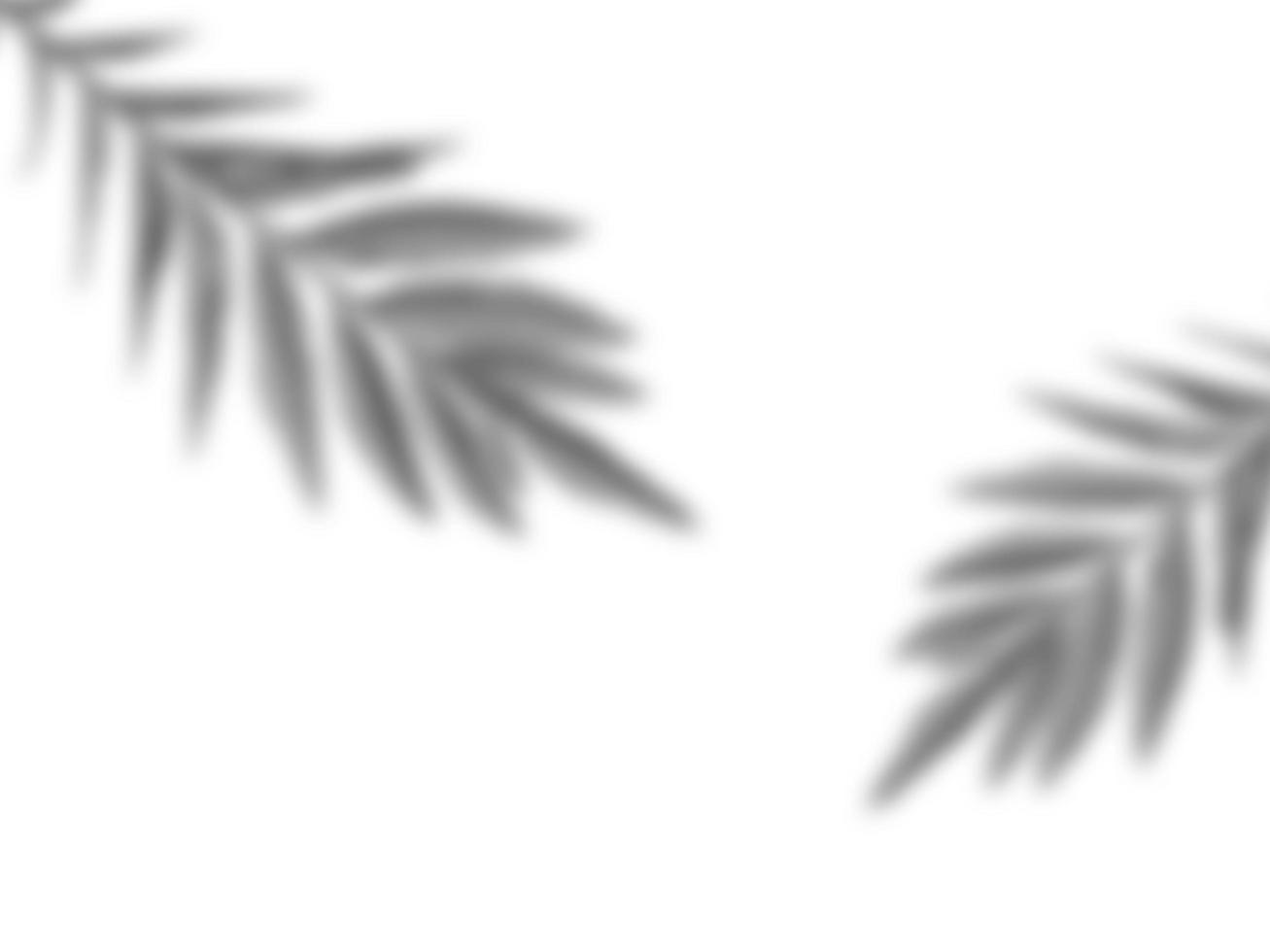 Leaf overlay shadow on white texture background. Perfect for decorative product presentations, flayers, banners, online products, advertisement photo