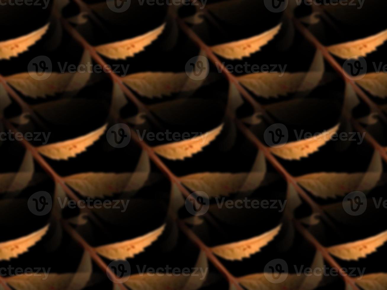 gold leaf pattern Decoration elements for invitations, wedding cards, valentines day, greeting cards. Isolated on black background photo