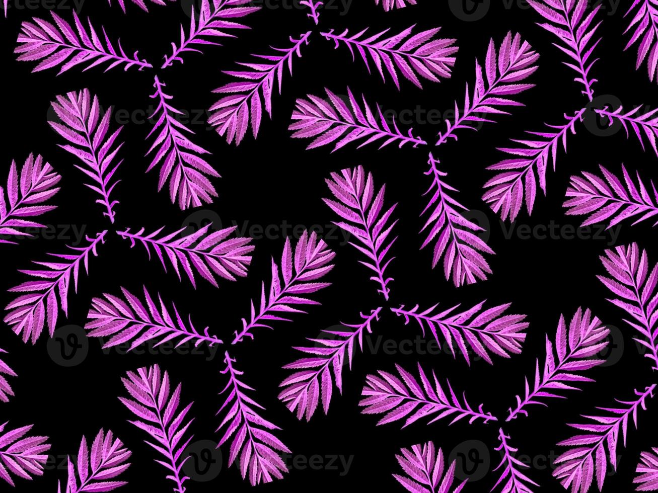 pattern tree branch with pink leaves on black background isolated closeup, botanical sign. Decoration elements for invitations, wedding cards, valentines day, greeting cards photo