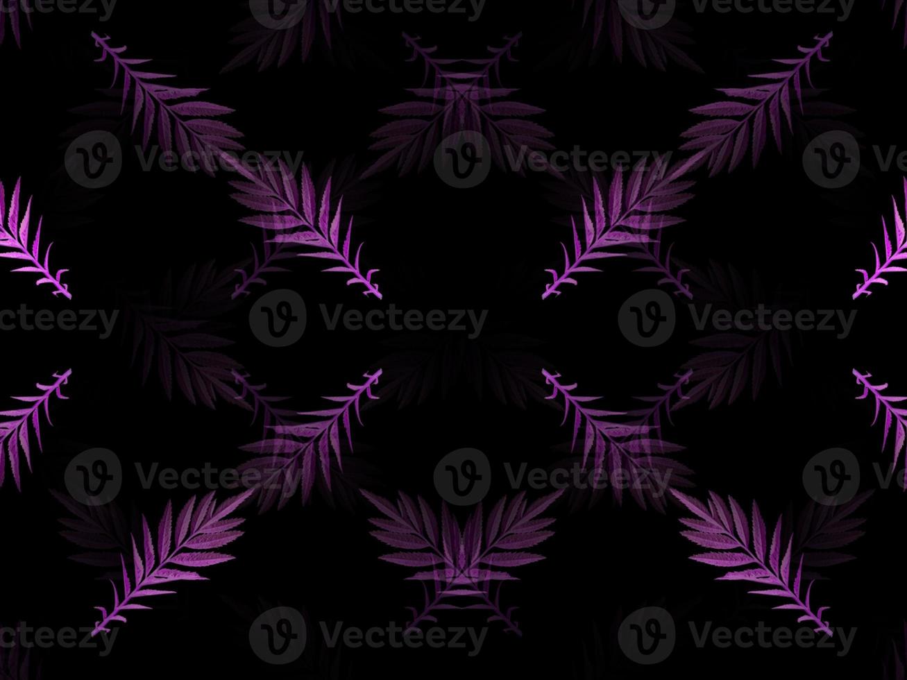 pattern tree branch with pink leaves on black background isolated closeup, botanical sign. Decoration elements for invitations, wedding cards, valentines day, greeting cards photo